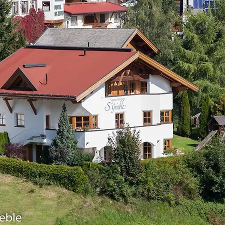 Апартаменты S'grieble *